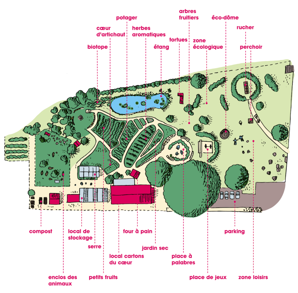 Jardin Potager Collectif Yverdon Les Bains Coeur Artichaut Illustration Plan Du Jardin