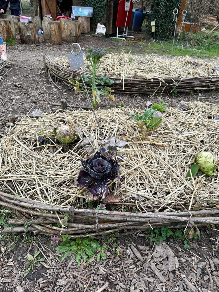 Photo 2024 03 04 10 43 25