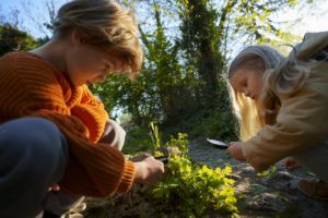 Vue Laterale Des Enfants Explorant La Nature Ensemble