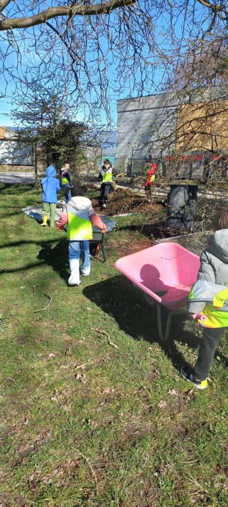 Whatsapp Image 2026 03 24 At 11.33.54 