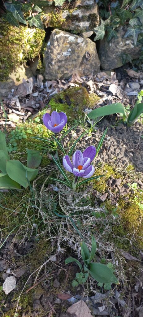 Whatsapp Image 2026 03 24 At 11.37.00 (1) 